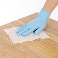 伊藤忠リーテイルリンク 除菌ウェットクロス ピロータイプ 100枚入 IRLN-003 1個