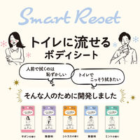 レック SRT 男性用 流せるボディシート 無香料 C01260 1個（12枚入）