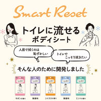 レック SRT 女性用 流せるボディシート シトラスの香り C01257 1個（12枚入）