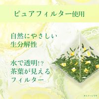 伊藤園 香るCold Brew Tea グリーンティー×レモンライム 1セット（1袋（5バッグ入）×3） マイボトル・水出し