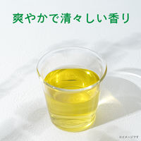 伊藤園 お～いお茶 PURE GREEN ティーバッグ 1セット（1袋（10バッグ入）×3）