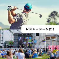 伊藤園 フローズンレモン（冷凍兼用ボトル）485g ペットボトル 1セット（48本）