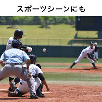 伊藤園 お～いお茶 緑茶（冷凍兼用ボトル）485ml ペットボトル1セット（48本）