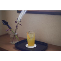 リンゴ酢仕立ての旬しぼり　愛媛みかんの飲む酢 500ml 3本 マルカン酢 希釈用 飲む酢 りんご酢 お酢ドリンク　紙パック