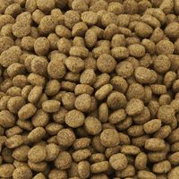 【アウトレット】ミニマルランド ハムスター用 ハムスターの主食 毎日野菜14種 国産 180g 1セット（1袋×3）マルカン 小動物