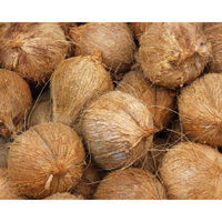 エコココロゴス・ミニラウンドDECO 4 83100114 LOGOS/ロゴス