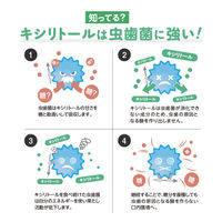 キシリブロック オクチミント 22g オクチのキャンディー 歯磨き後に食べられる ビタットジャパン