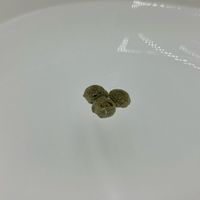 錦鯉 錦鯉用浮餌 浮上性フード 国産 7kg 1袋 スマック