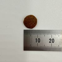 エブリ腎臓ケア おやつ まぐろ味 国産 30g（5g×6パック）1セット（1袋×3）スマック キャットフード 猫用 おやつ