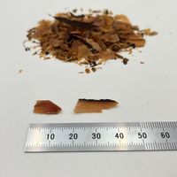 ネコリズム トッピングだけ まぐろチップ 国産 12g（3g×4袋）1セット（1袋×3）スマック キャットフード 猫用 おやつ