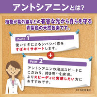 DHC 速攻ブルーベリー V-MAX（ブイマックス）（20日分）　1袋（40粒）　ディーエイチシー　サプリメント