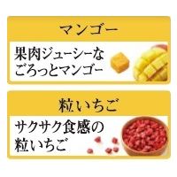 ごろグラ 糖質50％オフ 贅沢果実 300g 1袋 日清シスコ シリアル