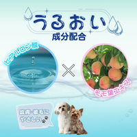 わんテクトタオル 犬用 無香料 日本製 25枚入 1個 アースペット