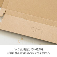 ヘッズ 無地コンパクト宅配ボックス-3 外寸：W245×D128×H20mm M-TBX3 1袋（20枚入）