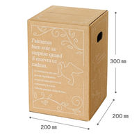 【80サイズ】ヘッズ デリバリーカートン-3 外寸：W200×D200×H300mm D-3 1セット（1袋（30枚入）×3）