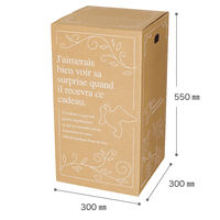 【120サイズ】ヘッズ デリバリーカートン-1 外寸：W300×D300×H550mm D-1 1セット（1袋（20枚入）×5）