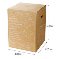 【140サイズ】ヘッズ デリバリーカートン-6 外寸：W420×D420×H560mm D-6 1セット（1袋（20枚入）×5）