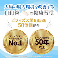 森永 ビヒダス 生きて届くビフィズス菌BB536（15日分） 1袋（15粒入） 機能性表示食品 森永乳業
