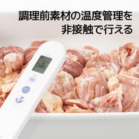 カスタム ブローブ付き防水デジタル放射温度計 CT-360WP 1台