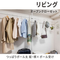 トーソー ナイビス ポール受けパック ホワイト TB-1WH 1セット(5パック)（直送品）