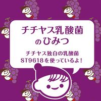 伊藤園 チチヤス ヨーグルセーキ ヨーグルトぶどう風味 パウチ 150g 1箱（30個入）