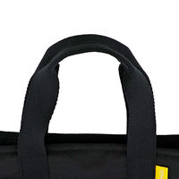 LIV PLUS 保冷バッグ ランチバッグ 4L ブラック LVー0001 1個