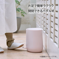 アポロジャパン ゴミ箱 5L ペダル式 フタ付 静音 シンプルホワイト FBーC23ー05ーWH1 1個