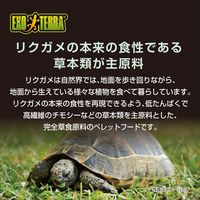 エキゾテラ RepDeli リクガメブレンドフード 180g 1個 ジェックス
