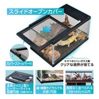 エキゾテラ レプテリア 爬虫類 ガラスケージ ツインビュー 300ブラック 1個 ジェックス