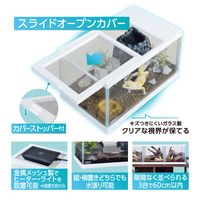 エキゾテラ レプテリア 爬虫類 ガラスケージ ツインビュー 300ホワイト 1個 ジェックス