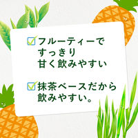 伊藤園 ごくごく毎日1杯の青汁パインmix 350g 1箱（24本入）