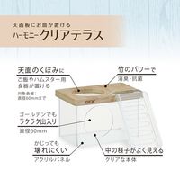 ハーモニークリアテラス 1個 ジェックス 小動物用