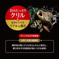 ワイルドペースト 赤虫＋クリル 国産 10袋入 1個 ジェックス 観賞魚 餌