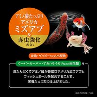 ワイルドペースト 赤虫＋ミズアブ 国産 10袋入 1個 ジェックス 観賞魚 餌