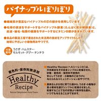 ヘルシーレシピ パイナップルぽりぽり 30g 1袋 ジェックス 小動物用 おやつ