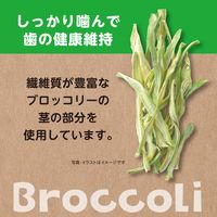 ヘルシーレシピ ブロッコリーぽりぽり 国産 15g 1袋 ジェックス 小動物用 おやつ