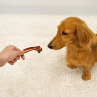 ドギーマン 素材紀行 子牛のリブボーン 国産 50g 1袋 ドギーマンハヤシ 犬用 おやつ