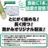ドギーマン ホワイデント 激かみ！歯みがきガム グリーン スティック S 小型犬向き 24本 1袋 犬用 おやつ 歯磨き