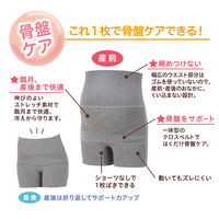 ピジョン 骨盤サポート妊婦帯パンツ Lブラック 4937006521573 1個（直送品）