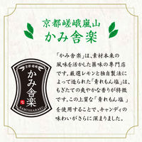 暑さ対策 塩分補給 塩分対策  さっぱり塩飴 塩レモン味 64g 1セット（1個×6）