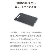 武田コーポレーション 解凍プレート付き多機能まな板L KPSML 1箱(10個入)（直送品）