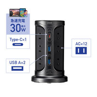 延長コード 電源タップ タワー型 2P式 USB 12個口 2m 一括スイッチ サンワサプライ TAP-B112C1A2BK 1個
