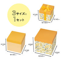 【アウトレット】ヘッズ ディスプレイボックス フラワーイエロー DECーDSB2  1セット