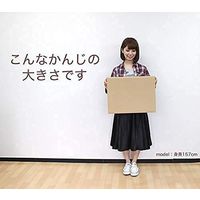 【120サイズ】取っ手付きダンボール 450×340×330mm NO251 1セット（1梱包（10枚入）×5） ロジマート