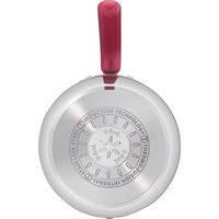 シャディ ティファール オプティスペース IHステンレスマルチポット(16cm) 25-0268-028 1箱（直送品）