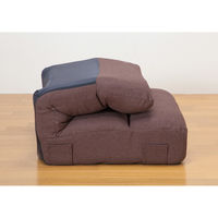 ファミリー・ライフ ボリュームコイルスプリング座椅子 ブラウン 0437710 1台（直送品）