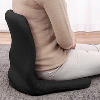 ファミリー・ライフ 背筋サポートリクライニングチェア 同色2個組 ブラック 0437920 1セット（2台入）（直送品）