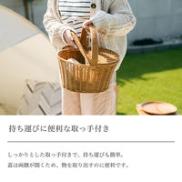 武田コーポレーション ピクニックバスケット PPB24-30 1箱(4個入)（直送品）