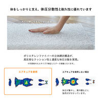 カトージ ぐうぐうねんね プレミアム 06400 1個（直送品）