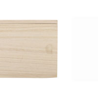 木具輪 珈琲用スライド桐箱 197509-10 1セット(10個入)（直送品）